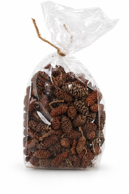 Picture of Birch Pine Cone 100g